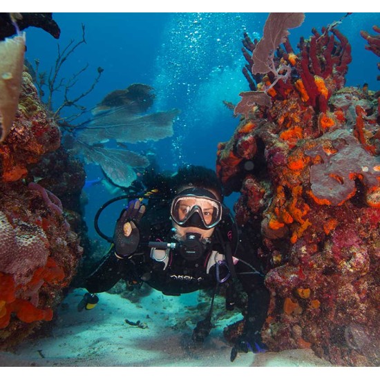 PADI AWARE - Coral Reef Conservation Diver