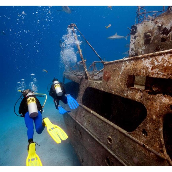 PADI Wreck Diver