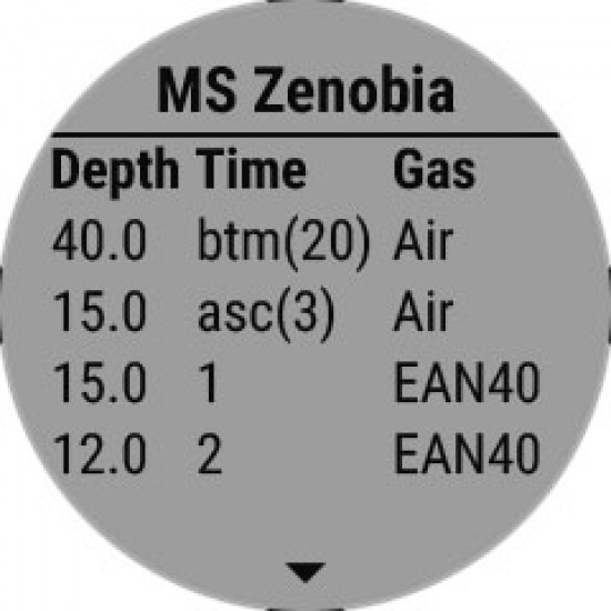 Garmin Descent Mk1 - Titanium Band