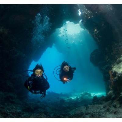 PADI Professional Courses