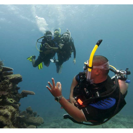 PADI Divemaster