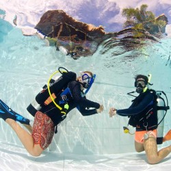 PADI Open Water Diver Course