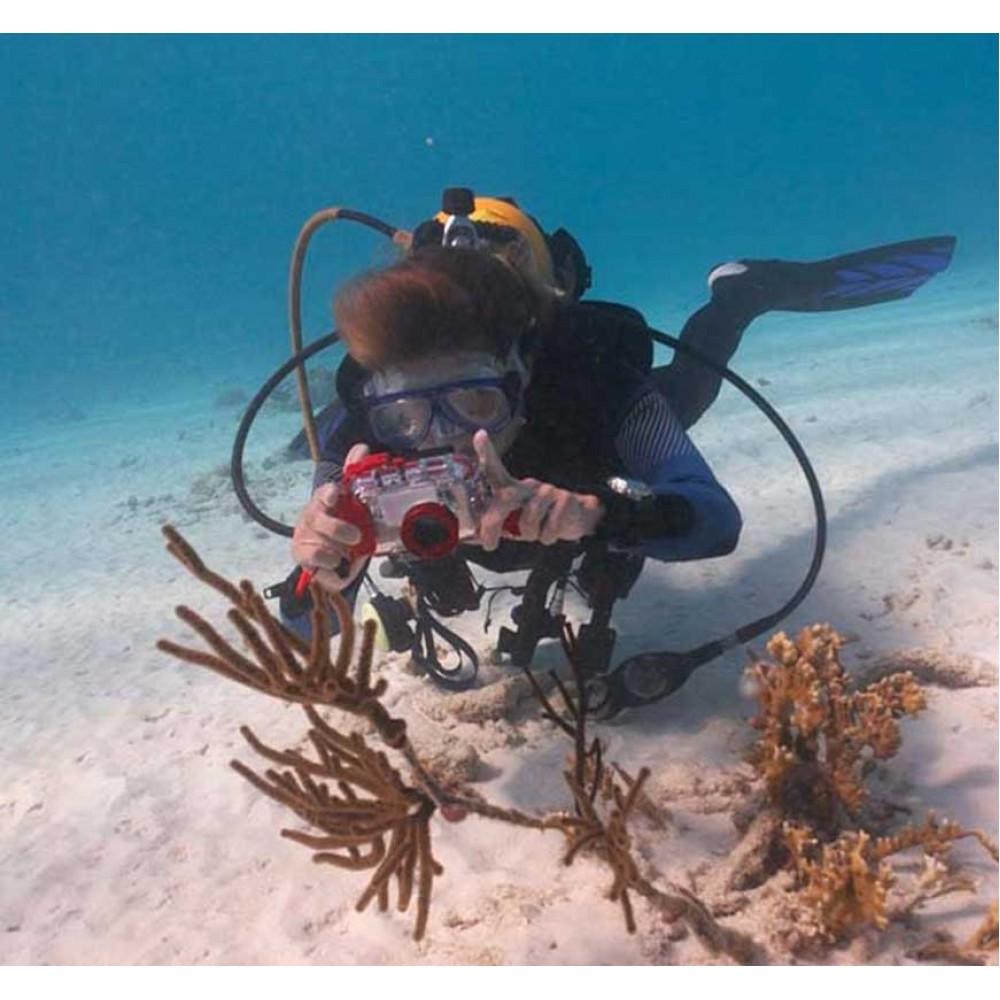 PADI Digital Underwater Photographer Scuba Diving Scuba Store