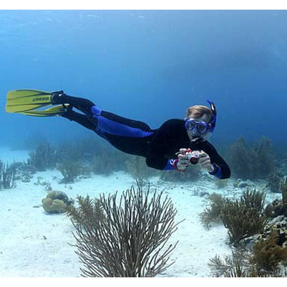 PADI Digital Underwater Photographer Scuba Diving Scuba Store