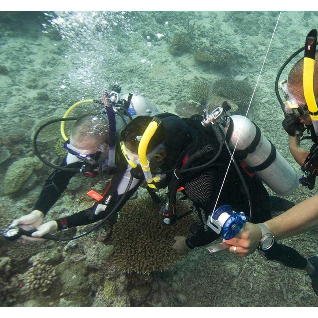 PADI Search and Recovery Scuba Diving Scuba Store